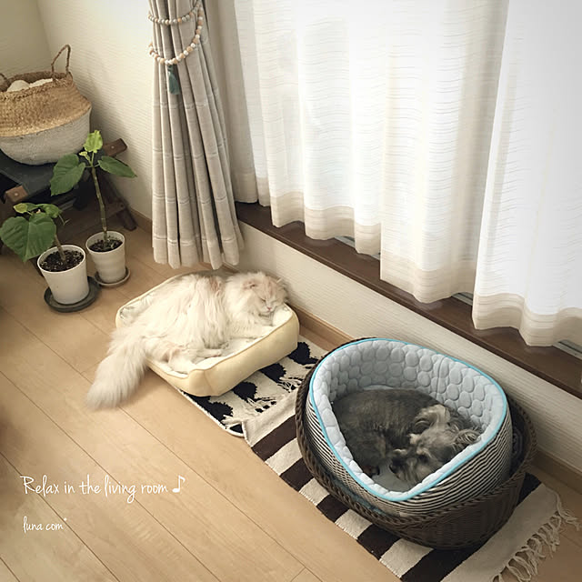 luna.comさんの実例写真