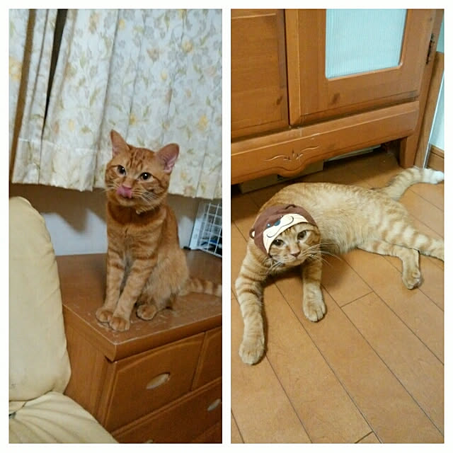 yum0408さんの実例写真