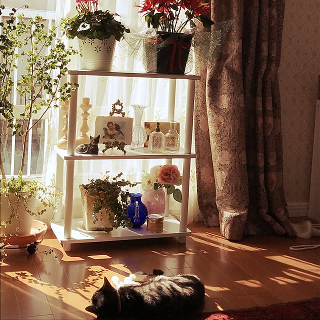 棚のインテリア実例 - 2017-02-12 12:34:22