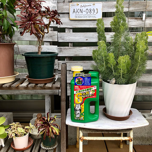 ayayayayaさんの実例写真