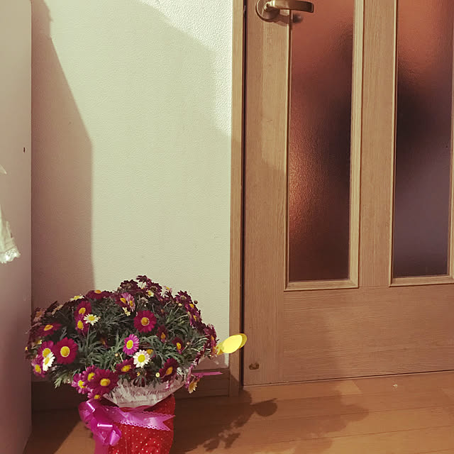 takaさんの実例写真