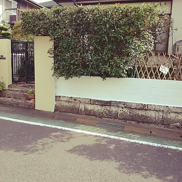 yutorogiさんの実例写真