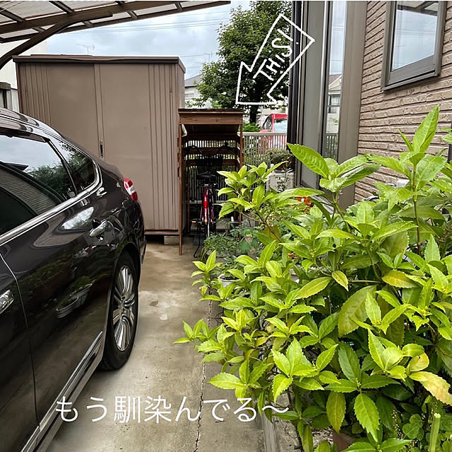 Rt_styleさんの実例写真