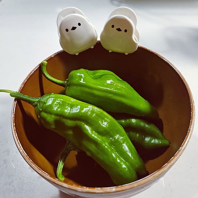 mocomocoさんの部屋