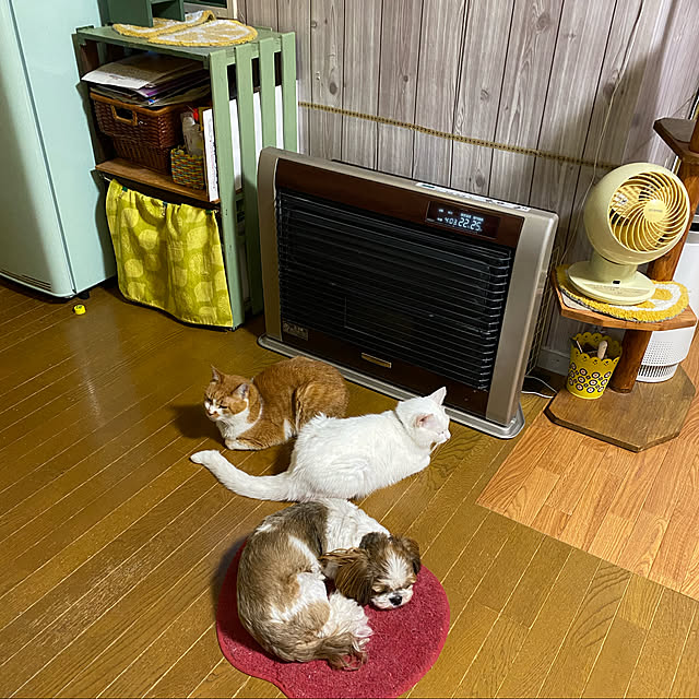 SHIHOさんの実例写真