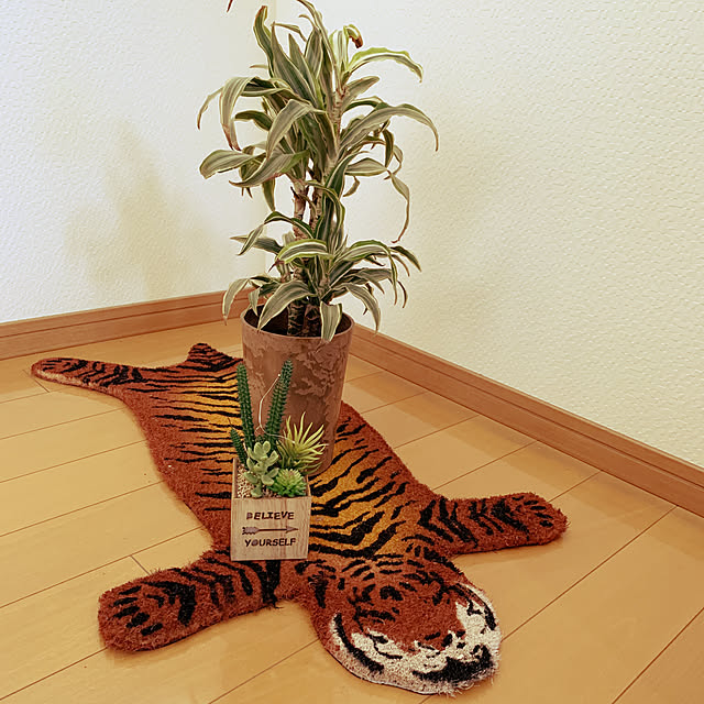 1016Maruさんの実例写真