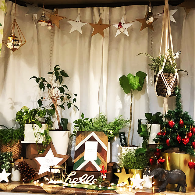 risaさんの実例写真