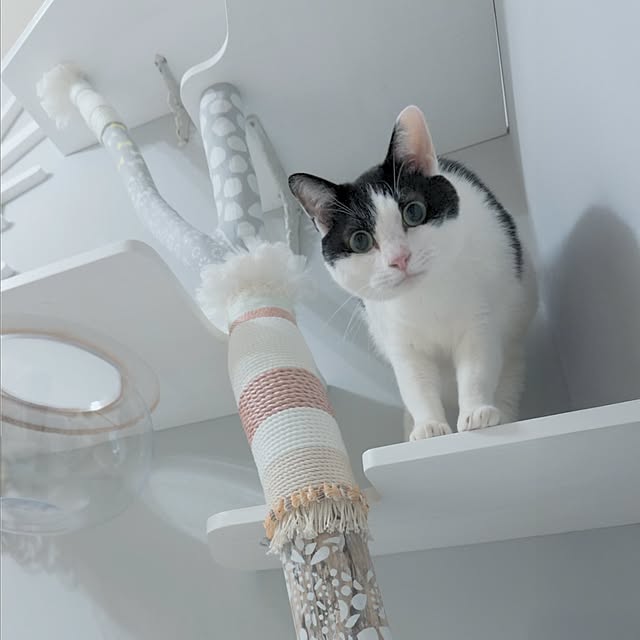 mjket.mysaさんの実例写真