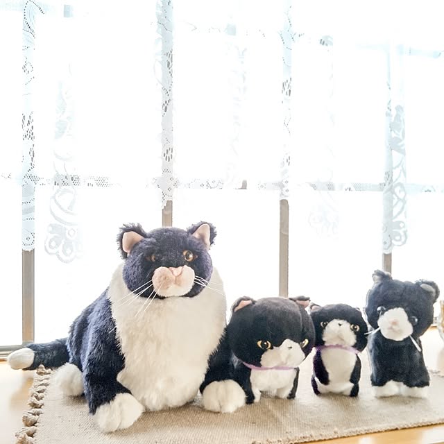 faunさんの部屋
