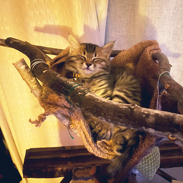 Mさんの実例写真