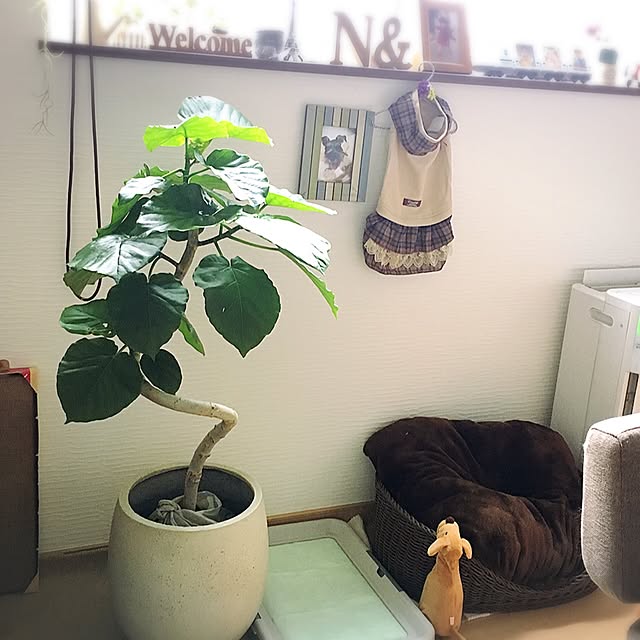 luna.comさんの実例写真