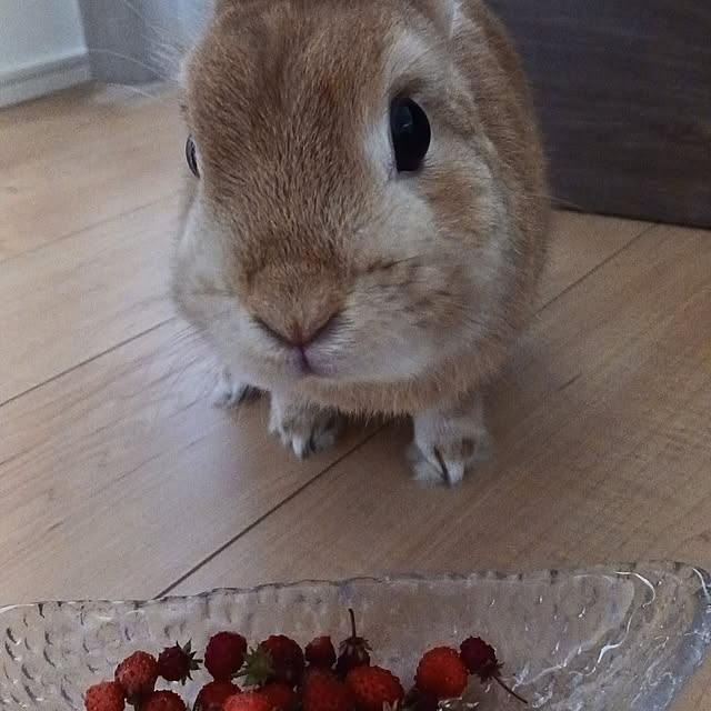 aiさんの部屋