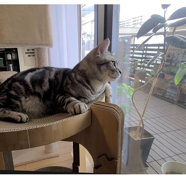 lovepeaceさんの部屋