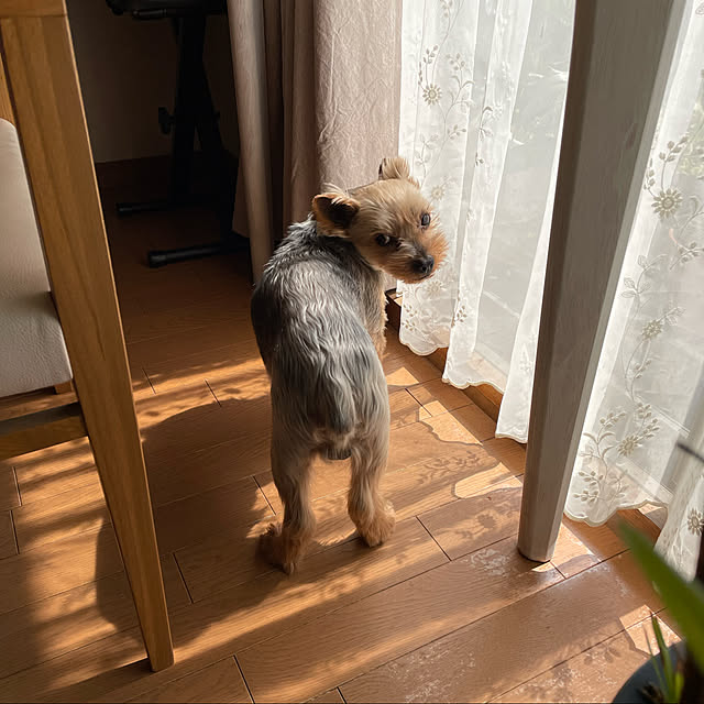 atelier_canonさんの実例写真