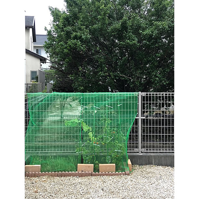 nono.0129さんの実例写真
