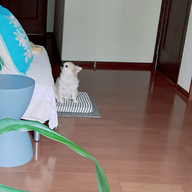 natsumiさんの部屋