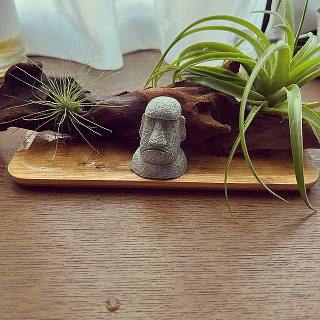 simopiさんの実例写真