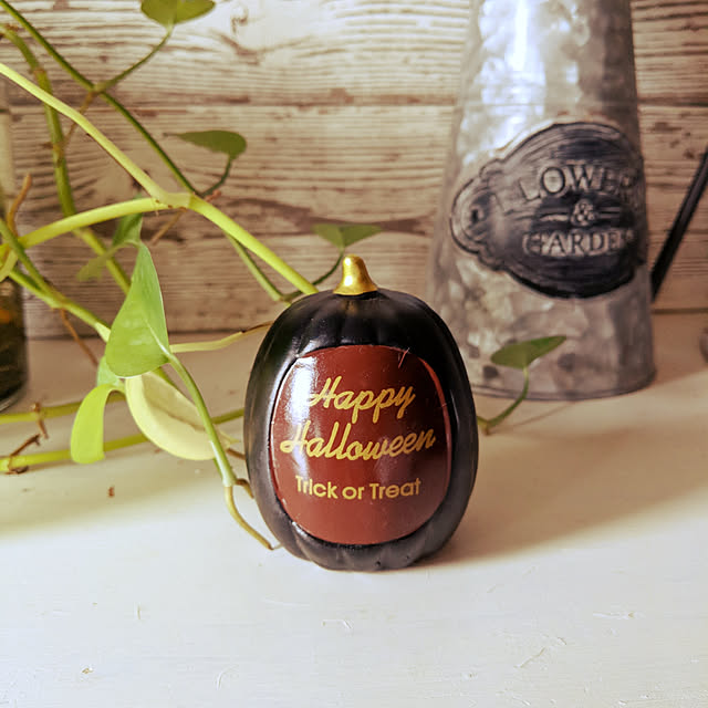 woodyさんの実例写真