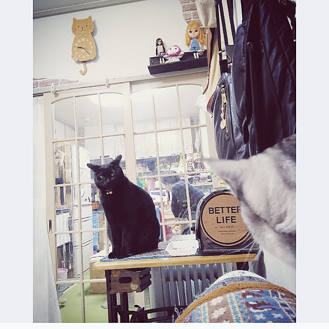 mntcさんの実例写真