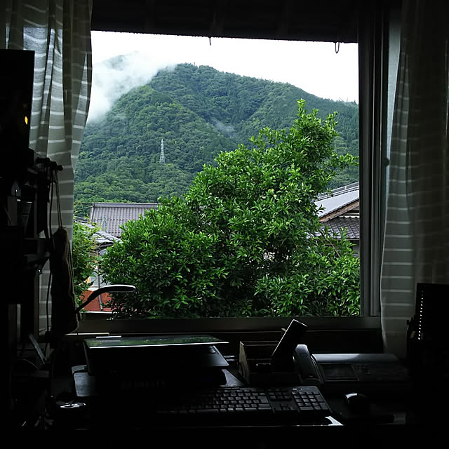 ringarintonさんの実例写真