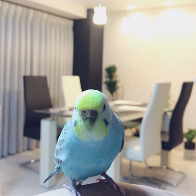 natsumikanさんの実例写真