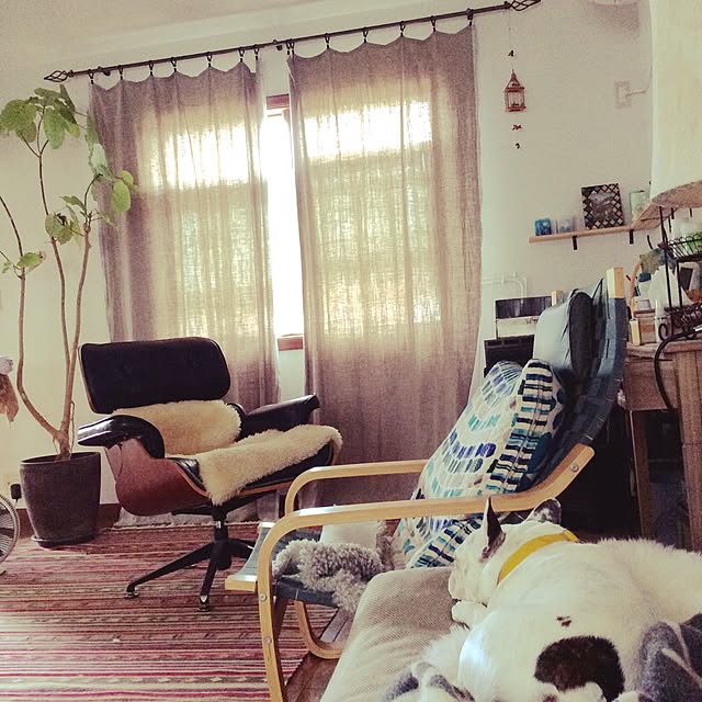 Fumikaさんの実例写真
