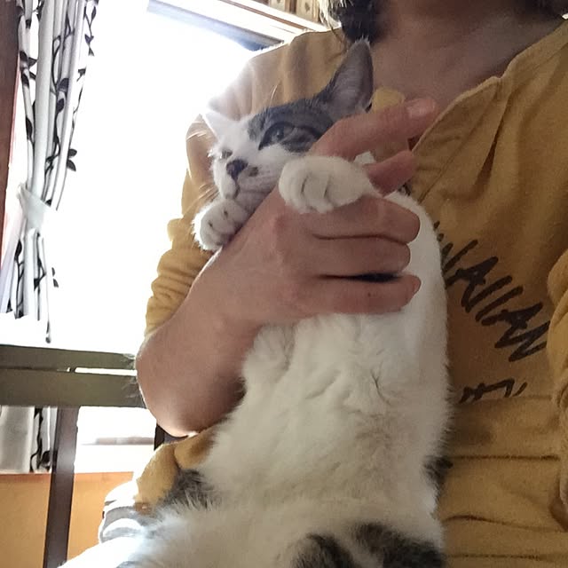 yocchiさんの実例写真
