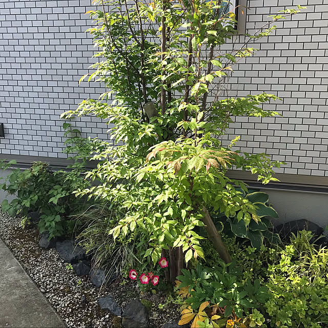 実例写真