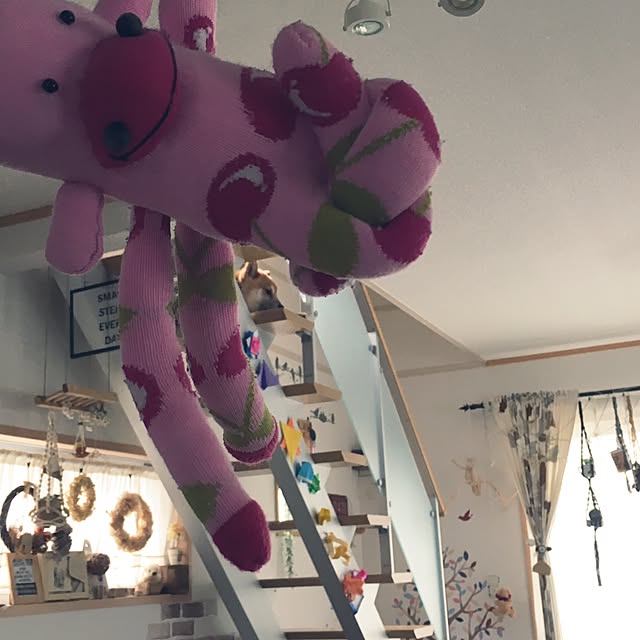 kotaさんの実例写真