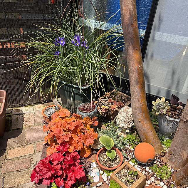 makaさんの実例写真