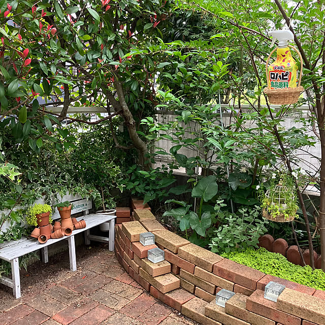 tararaさんの部屋