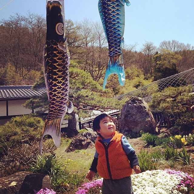 mokurollさんの実例写真