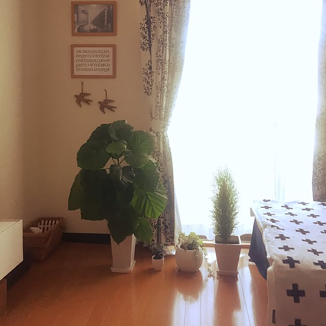 pukuさんの実例写真