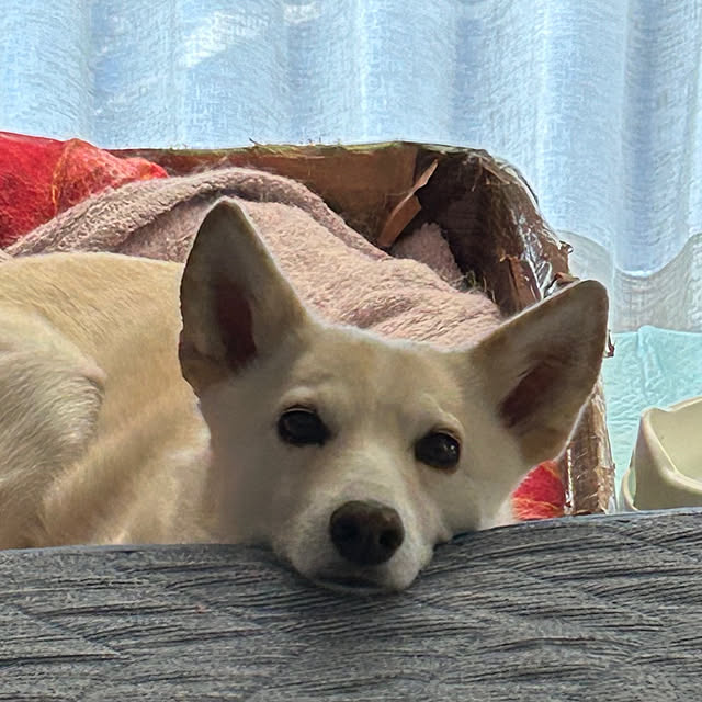 tanboさんの部屋