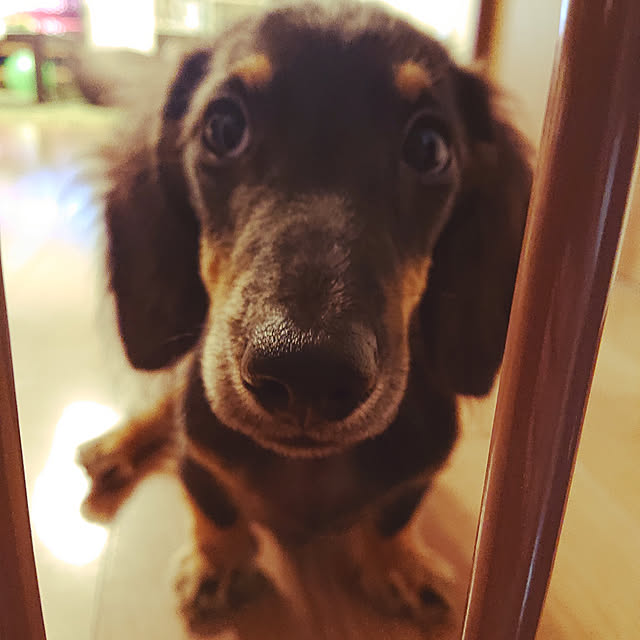 kroさんの実例写真