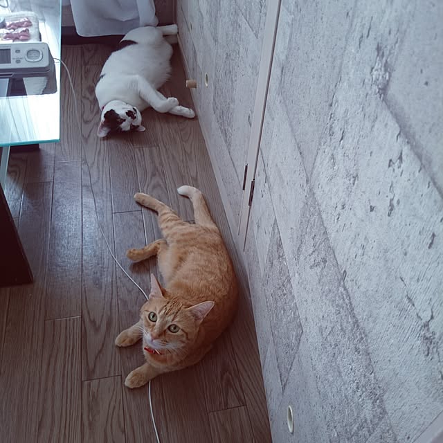 fu-ka24さんの実例写真