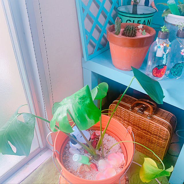 totoさんの実例写真