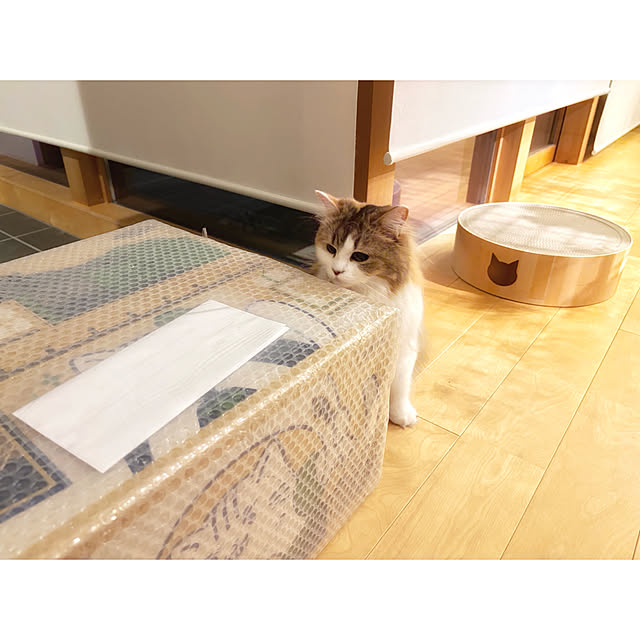 darakoさんの実例写真
