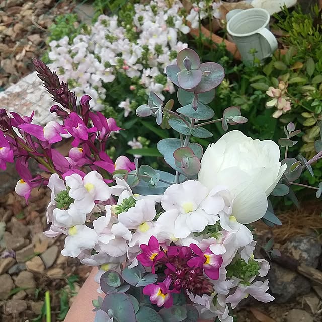 yukkoさんの実例写真
