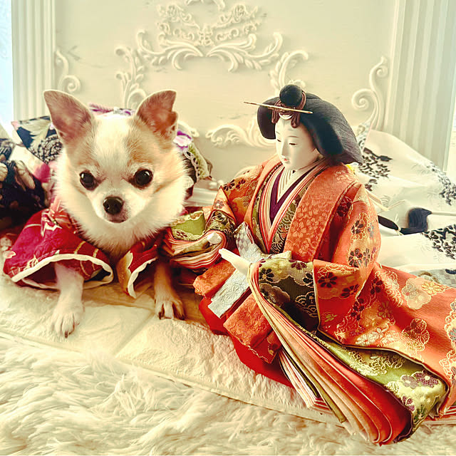 cocoさんの実例写真