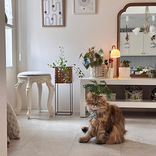 miyu39さんの部屋