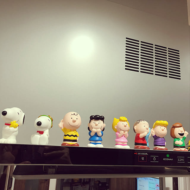 miumiuさんの実例写真
