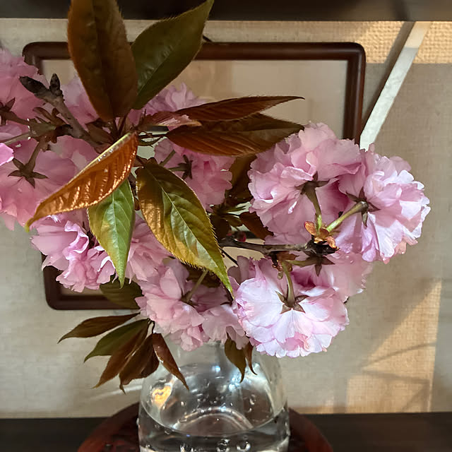 cagosukiさんの実例写真