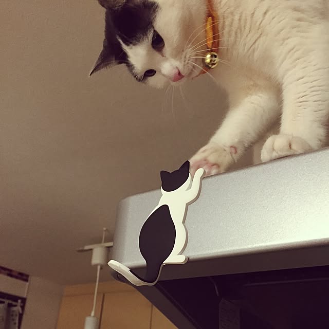 miiko3さんの実例写真