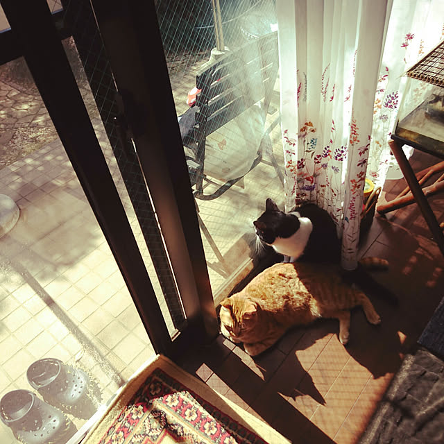 okyosan101さんの実例写真