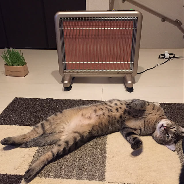 kirinさんの実例写真
