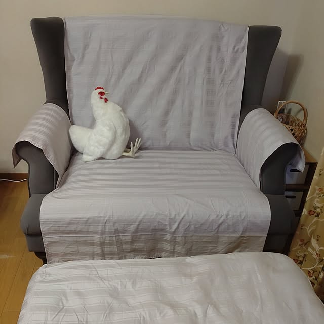 Hujikoさんの実例写真