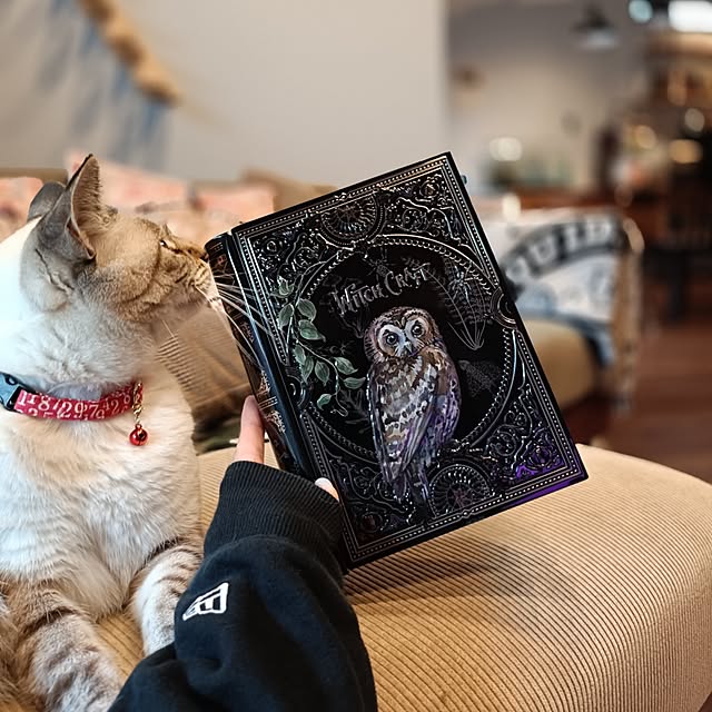 Atelier_tamakiさんの実例写真