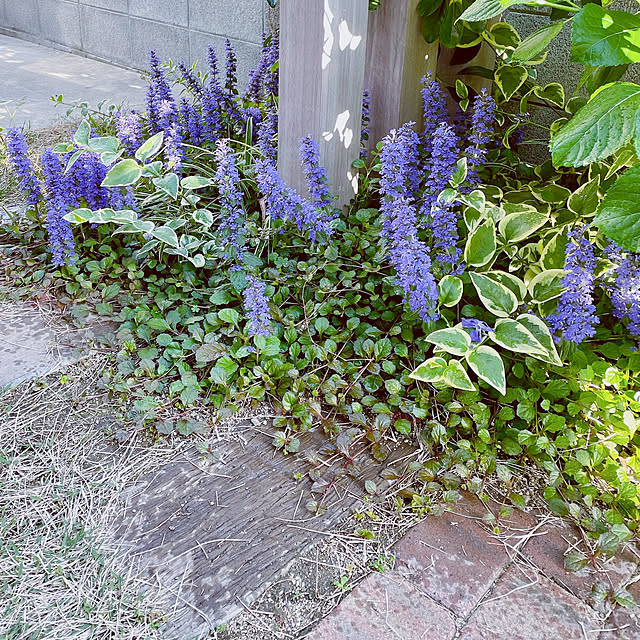 yanada0606さんの実例写真