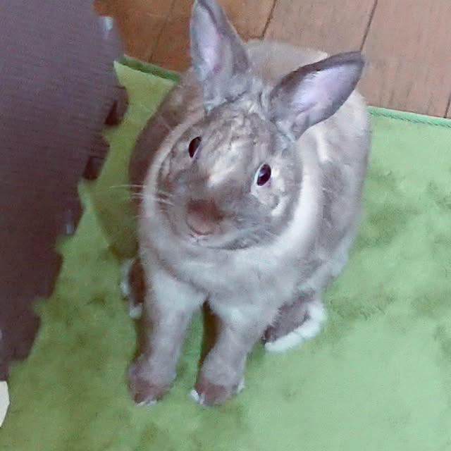 m.2さんの実例写真